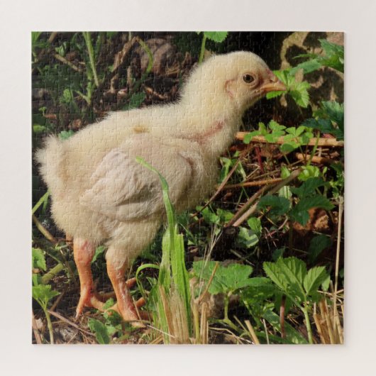 niedliches kleines Huhn, Hühnchen, natürlich Puzzle (Vertikal)
