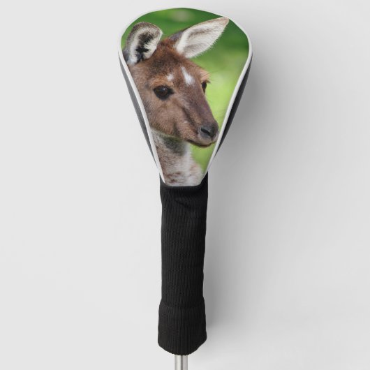 Niedliches kleines Känguru Golf Headcover (Vorderseite)