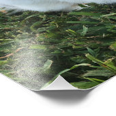 Niedliches kleines Kaninchen im Gras Foto drucken (Ecke)