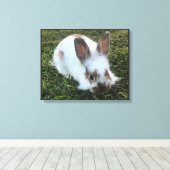 Niedliches kleines Kaninchen in den Graskanven dru Leinwanddruck (Insitu (Holzboden))