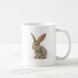 Niedliches kleines Kaninchen Kaffeetasse