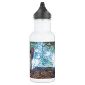 Niedliches kleines Kätzchen, das im Wald spielt Edelstahlflasche (Rechts)