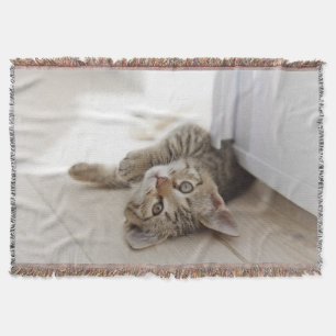 Niedliches kleines Kätzchen Decke