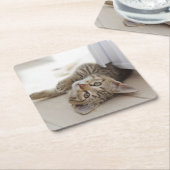 Niedliches kleines Kätzchen Rechteckiger Pappuntersetzer (angewinkelt)