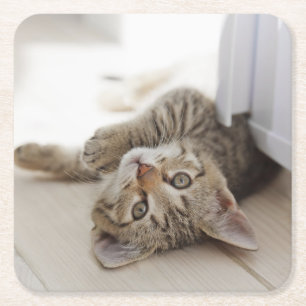 Niedliches kleines Kätzchen Rechteckiger Pappuntersetzer