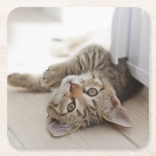 Niedliches kleines Kätzchen Rechteckiger Pappuntersetzer (Vorderseite)