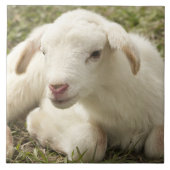 Niedliches kleines Kind Fliese (Vorderseite)