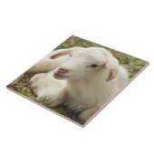 Niedliches kleines Kind Fliese (Seite)