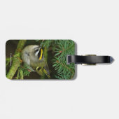 Niedliches Kleines Kinglet verursacht eine Stir in Gepäckanhänger (Rückseite horizontal)