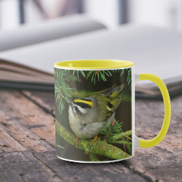 Niedliches Kleines Kinglet verursacht eine Stir in Tasse