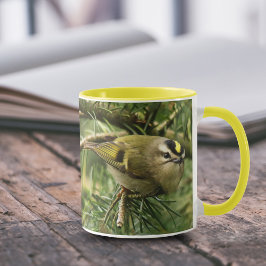 Niedliches Kleines Kinglet verursacht eine Stir in Tasse