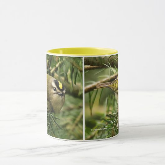 Niedliches Kleines Kinglet verursacht eine Stir in Tasse (Zentrum)