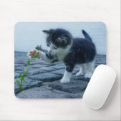 Niedliches Kleines Kitten mit Blume Mousepad (Mit Mouse)