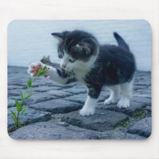 Niedliches Kleines Kitten mit Blume Mousepad (Vorne)