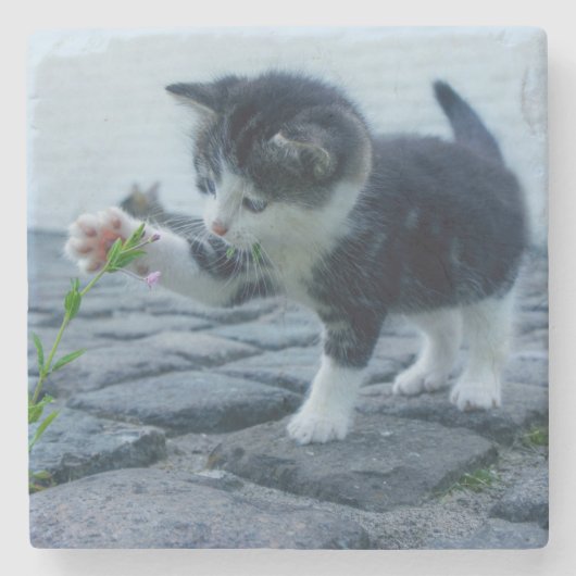 Niedliches Kleines Kitten mit Blume Steinuntersetzer (Vorderseite)