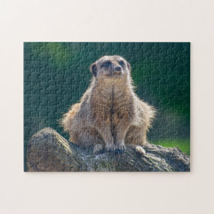 Niedliches kleines Meerkat-Jigsaw-Puzzle Puzzle