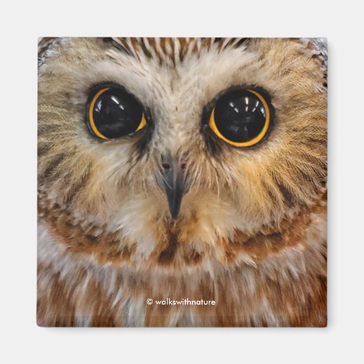 Niedliches kleines Nördliches Sägemehl Magnet (Vorne)