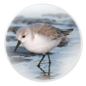 Niedliches Kleines Sanderling am Strand Keramikknauf (Vorderseite)