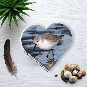 Niedliches Kleines Sanderling am Strand Notizblock
