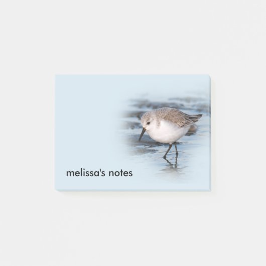 Niedliches Kleines Sanderling am Strand Post-it Klebezettel (Vorderseite)