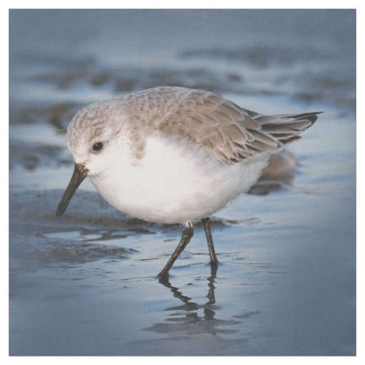 Niedliches Kleines Sanderling am Strand Stoff (Muster)