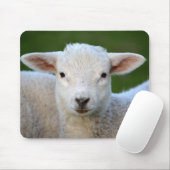 Niedliches kleines Schaf Mousepad (Mit Mouse)