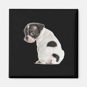 Niedliches kleines schlankes Hundebiss für Tiere Magnet