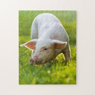 Niedliches kleines Schwein Puzzle