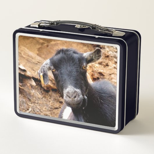 NIEDLICHES KLEINES ZIEGEL METALL BROTDOSE (Rückseite)