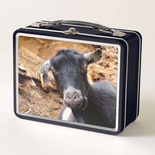 NIEDLICHES KLEINES ZIEGEL METALL BROTDOSE (Vorderseite)