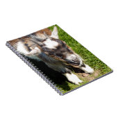 NIEDLICHES KLEINES ZIEGEL NOTIZBLOCK (Rechte Seite)