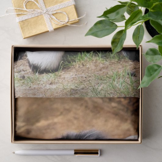 NIEDLICHES KLEINES ZIEGEL SEIDENPAPIER (Geschenk)