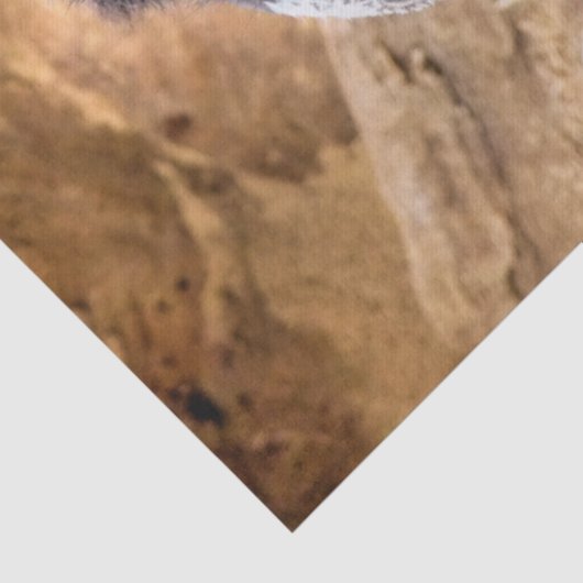 NIEDLICHES KLEINES ZIEGEL SEIDENPAPIER (Detail)