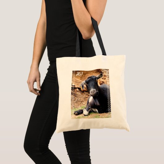 NIEDLICHES KLEINES ZIEGEL TRAGETASCHE (Vorderseite (Produkt))