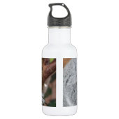 Niedliches Koala-Bärn-Duschen-Büro-Party Edelstahlflasche (Rückseite)