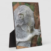Niedliches Koala-Bärn-Duschen-Büro-Party Fotoplatte (Seite)