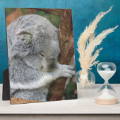 Niedliches Koala-Bärn-Duschen-Büro-Party Fotoplatte (Seite)
