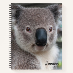 Niedliches Koala Bear Spiral Notebook Notizblock