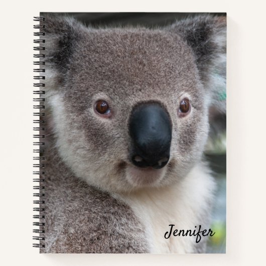 Niedliches Koala Bear Spiral Notebook Notizblock (Vorderseite)