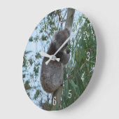 Niedliches Koala Klettern in einem Baum Australien Große Wanduhr (Winkel)