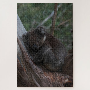 Niedliches Koala Schlafen in Baumaustralien, 1014 Puzzle