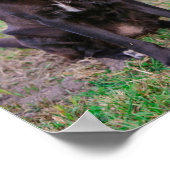 Niedliches Labrador Black Doppy-Welpen Poster (Ecke)