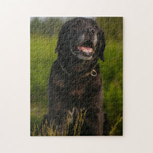 Niedliches Labrador Black Doppy-Welpen Puzzle