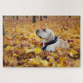 Niedliches Labrador Hund in Herbstlauben Puzzle (Horizontal)