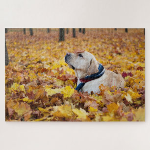 Niedliches Labrador Hund in Herbstlauben Puzzle