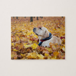 Niedliches Labrador Hund in Herbstlauben Puzzle