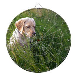 Niedliches Labrador Welpe im Gras Dartscheibe