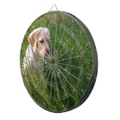 Niedliches Labrador Welpe im Gras Dartscheibe (Vorderseite rechts)