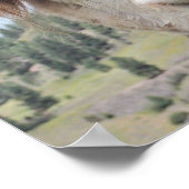 Niedliches Lächeln Alpaca Foto Image Poster (Ecke)