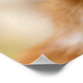 Niedliches Lächeln Kitten Face Funny Cat Meow Foto Poster (Ecke)